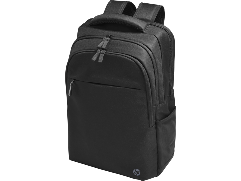 HP Professional 17.3-inch Backpack